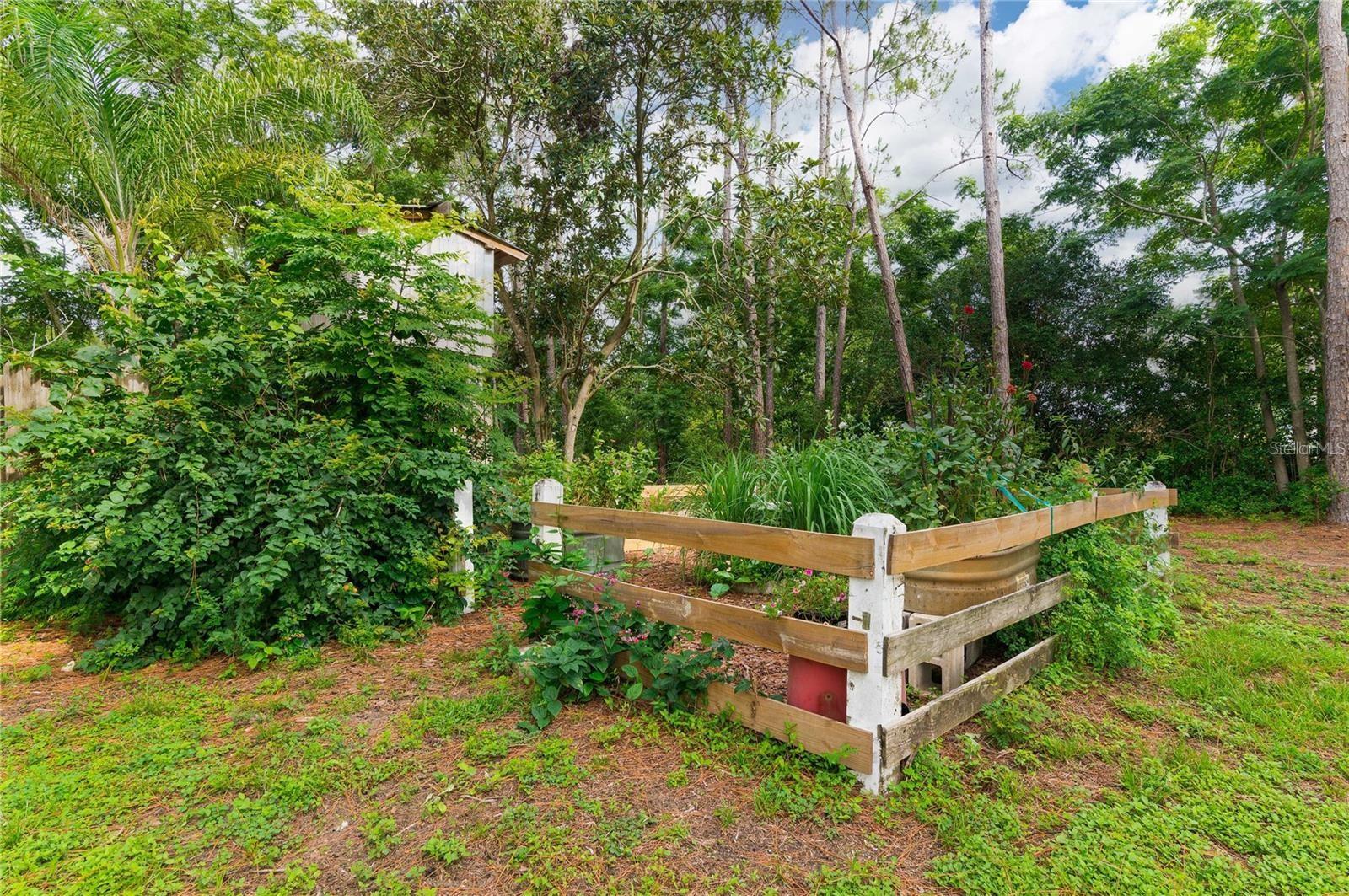 Listing photo id 41 for 39425 Wilds Road