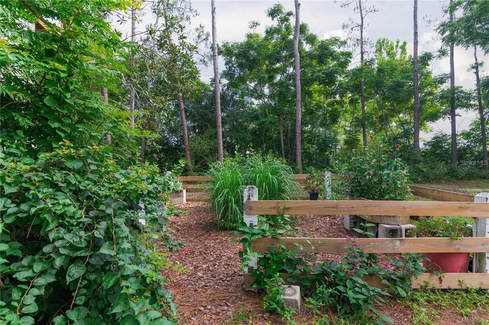 Listing photo id 43 for 39425 Wilds Road