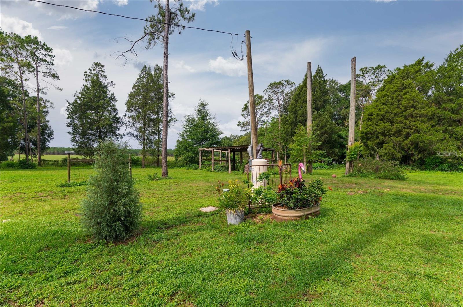 Listing photo id 53 for 39425 Wilds Road