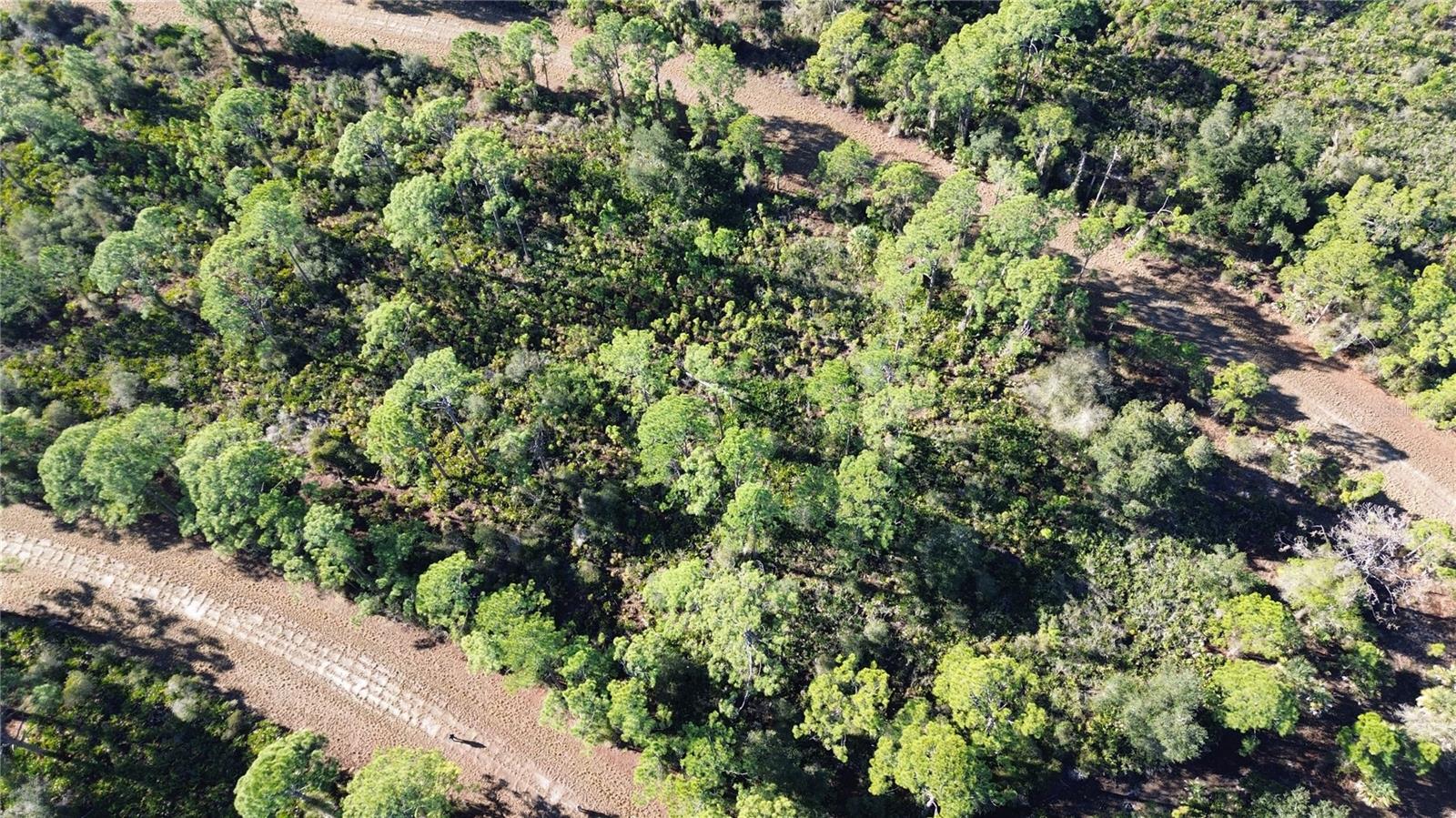 Details for  Cody Circle , NORTH PORT, FL 34291