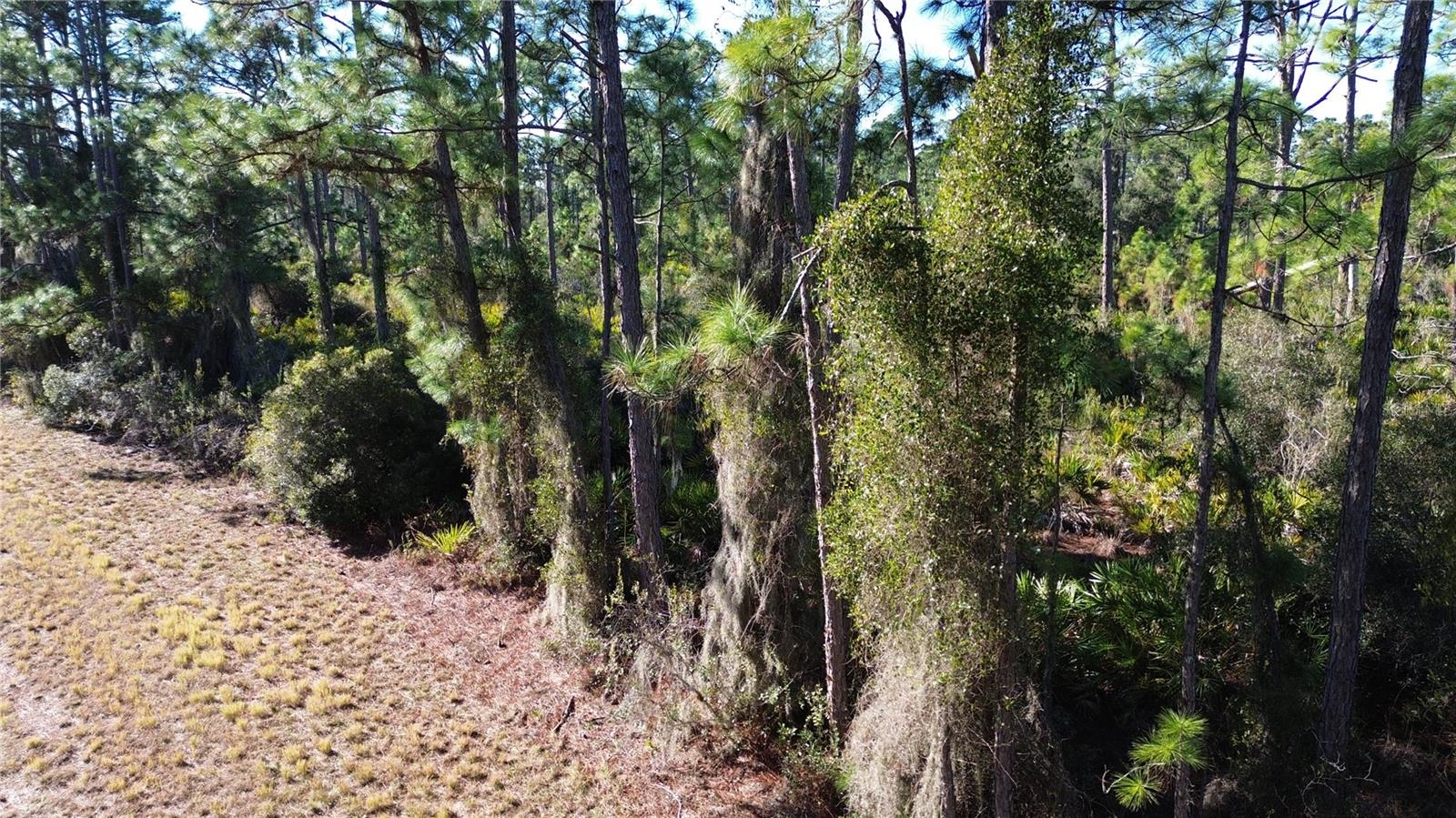 Listing photo id 8 for  Cody Circle 