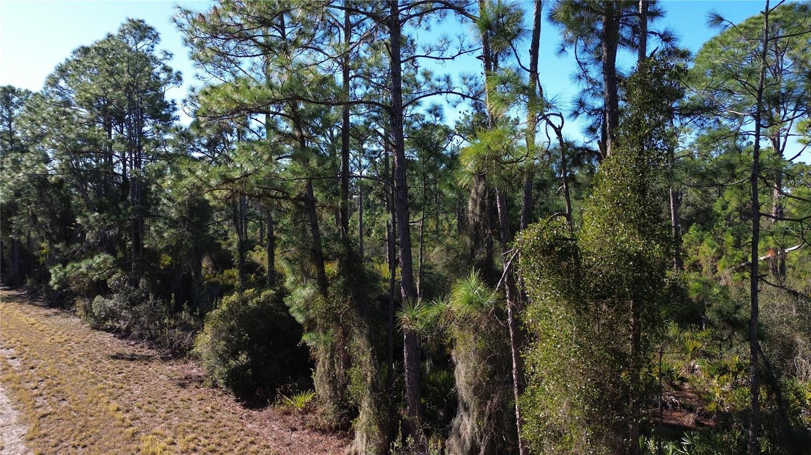 Listing photo id 9 for  Cody Circle 