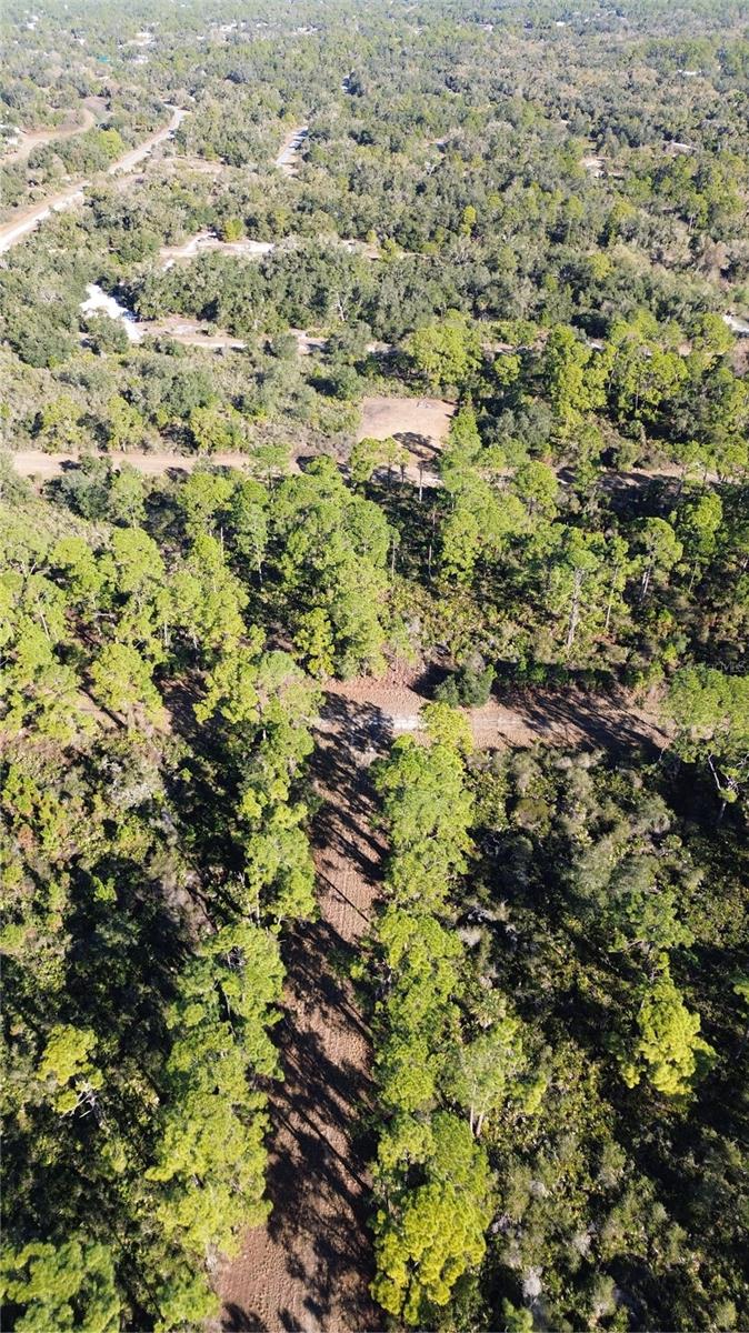 Listing photo id 12 for  Cody Circle 