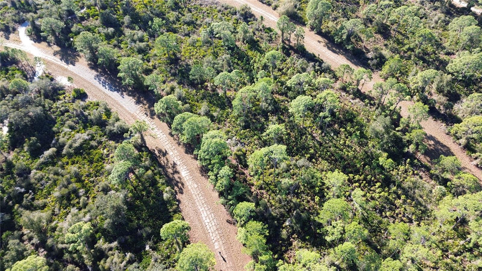 Listing photo id 1 for  Cody Circle 