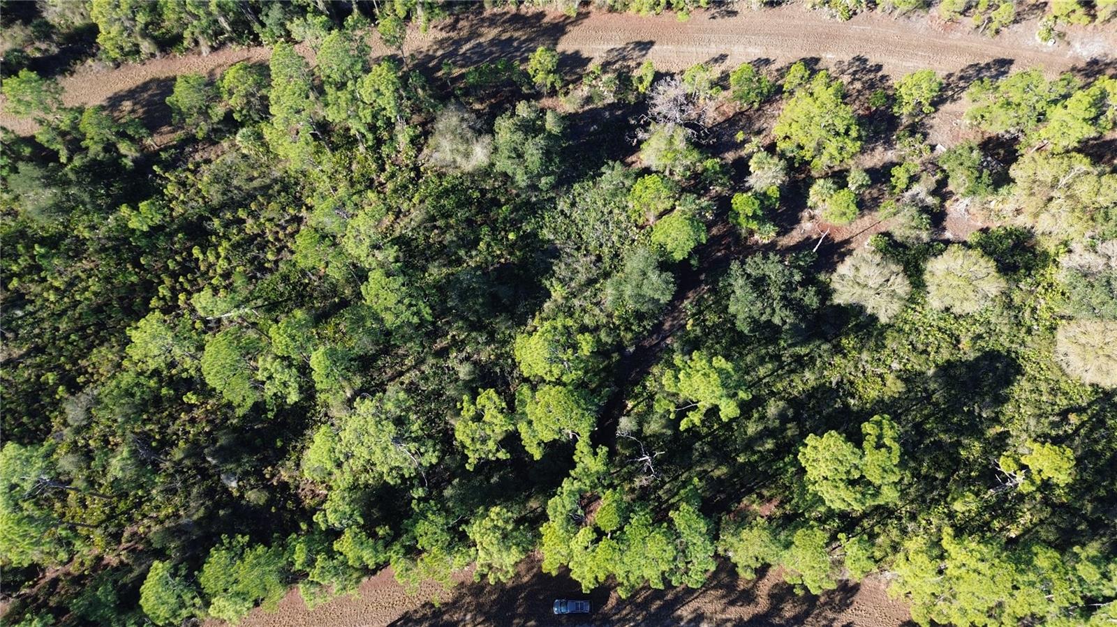 Listing photo id 3 for  Cody Circle 