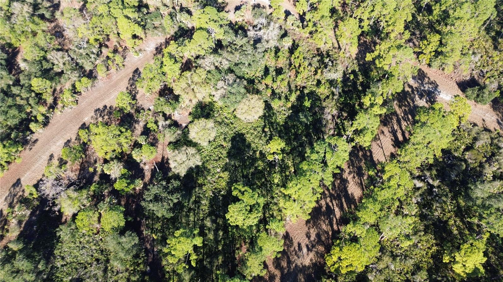 Listing photo id 4 for  Cody Circle 