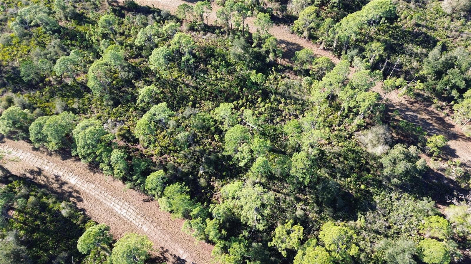 Listing photo id 5 for  Cody Circle 