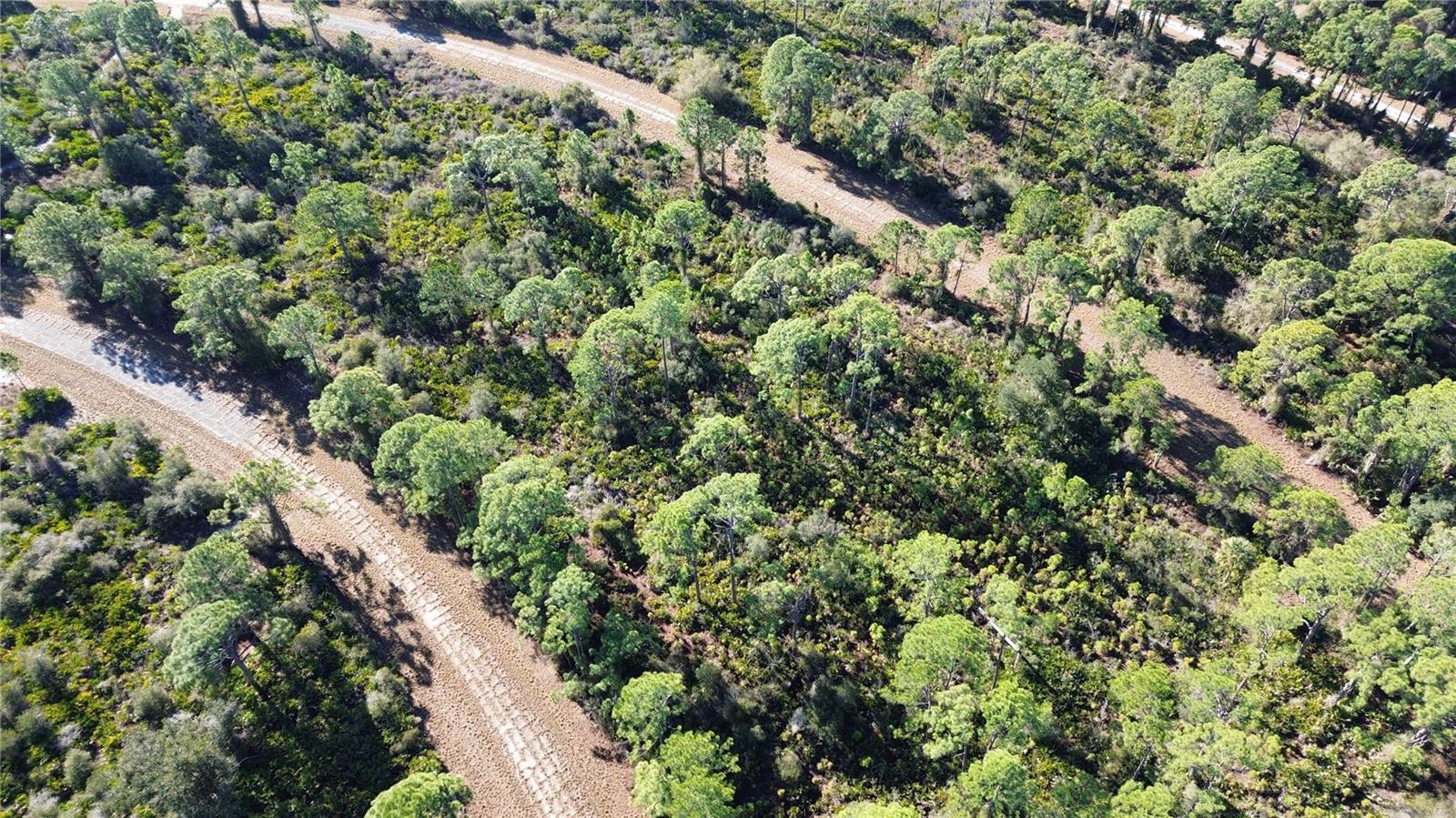 Listing photo id 6 for  Cody Circle 