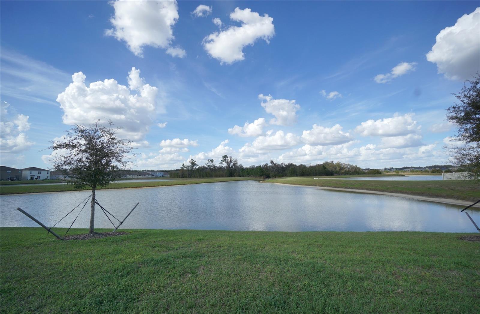 Image 17 of 28 For 33700 Jasper Stone Drive