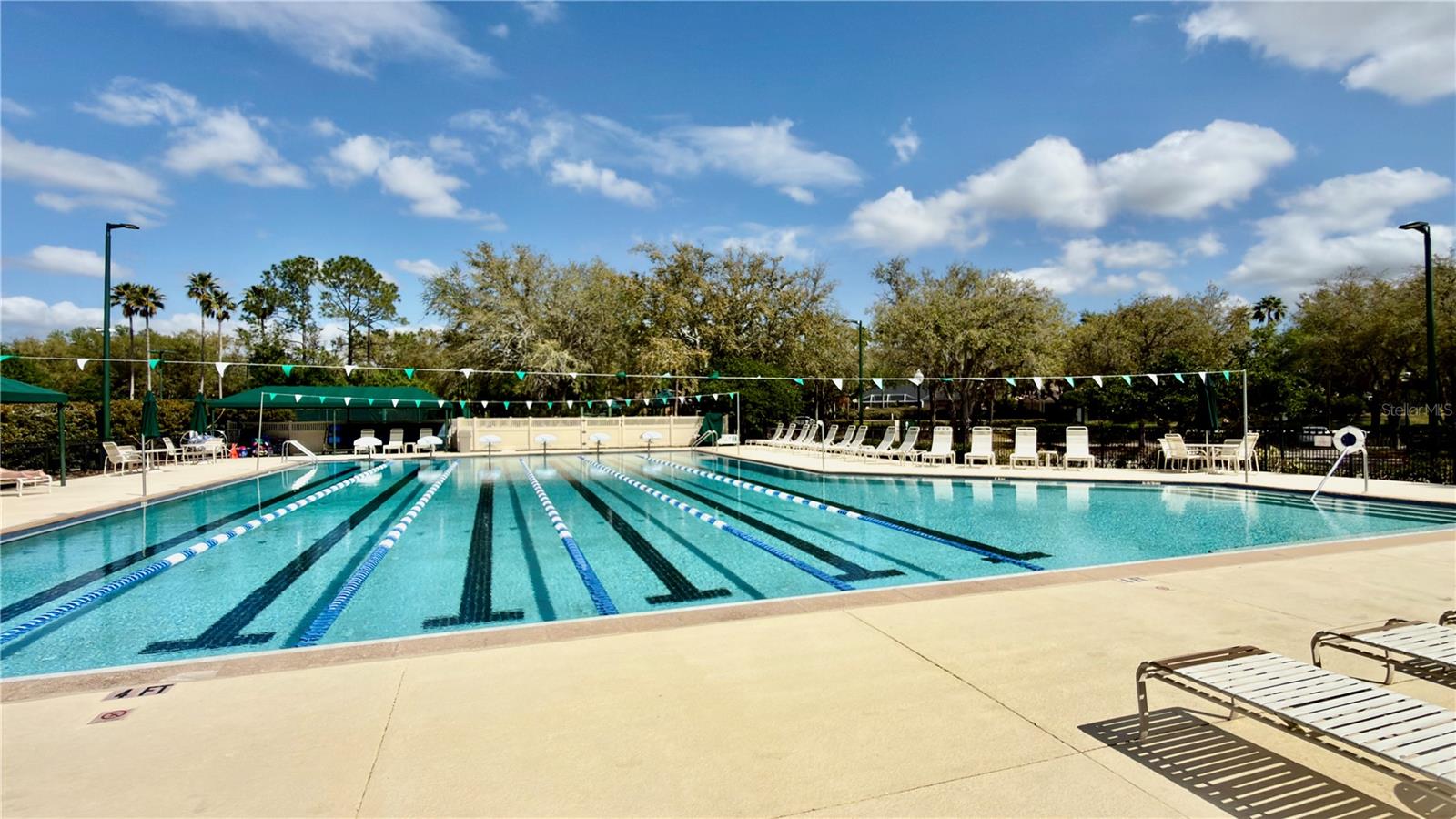 Image 40 of 49 For 10222 Devonshire Lake Drive