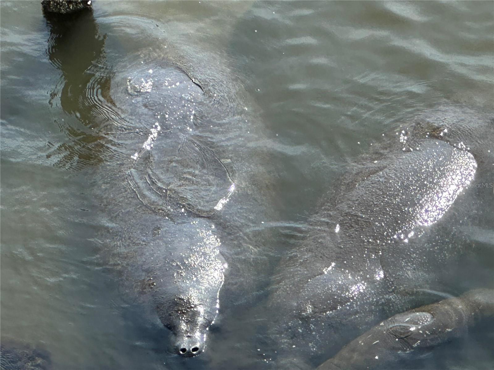 Image 12 of 45 For 1805 Riverside Drive 302