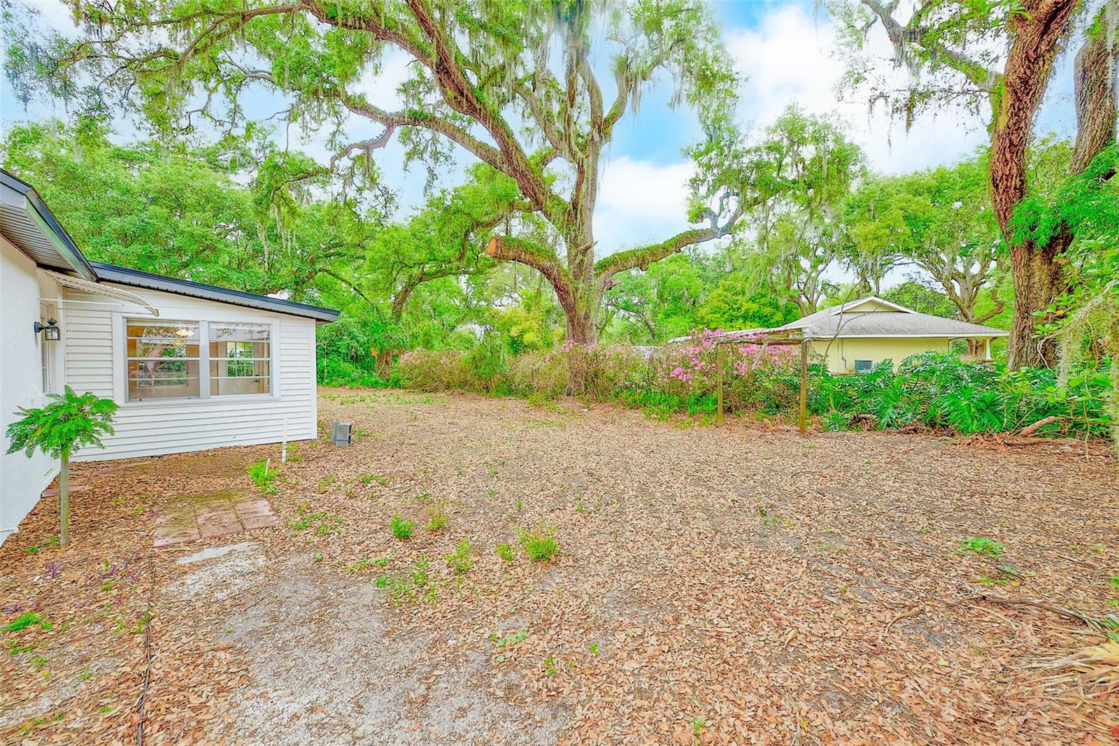 Listing photo id 19 for 1220 Vinewood Drive