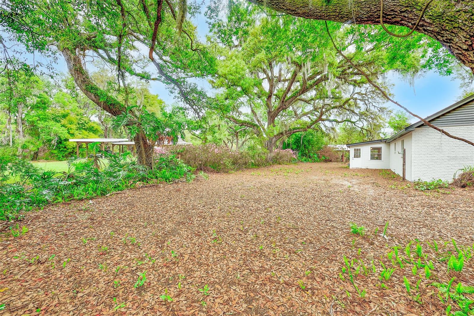 Listing photo id 20 for 1220 Vinewood Drive