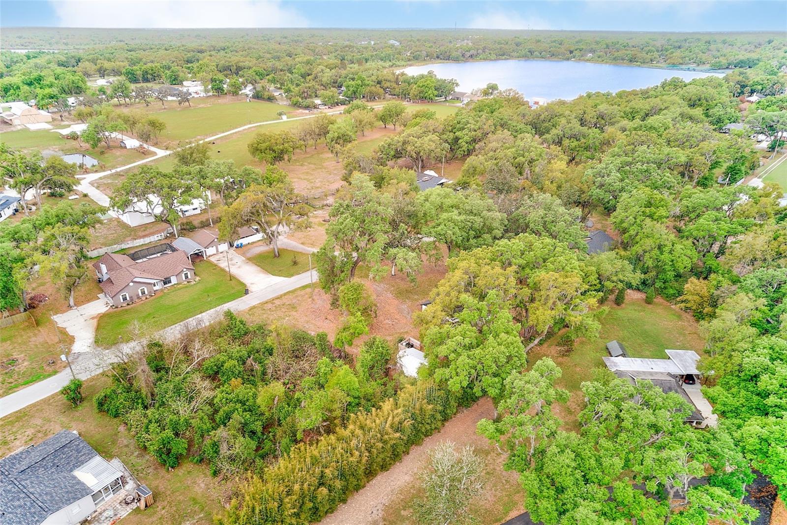 Listing photo id 29 for 1220 Vinewood Drive