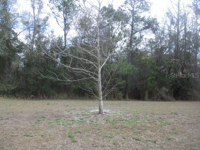 Image 5 of 25 For 5150 Diantha Way