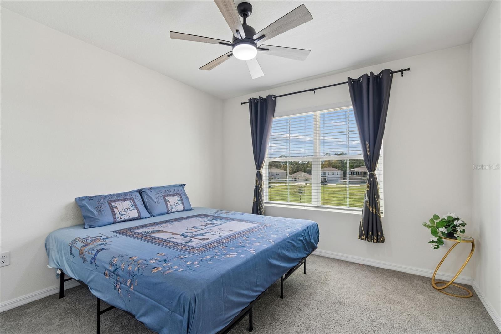 Image 41 of 71 For 2814 Common Fig Run