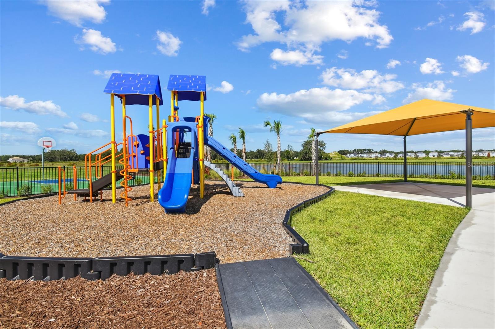 Image 70 of 71 For 2814 Common Fig Run