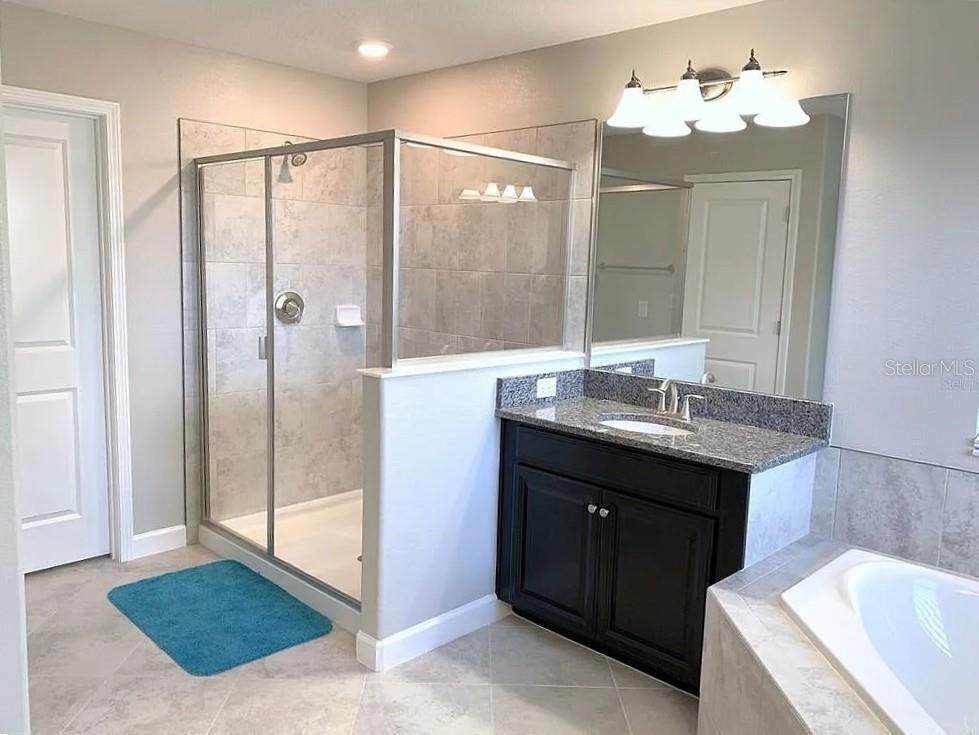 Image 16 of 19 For 16308 Hyde Manor Drive