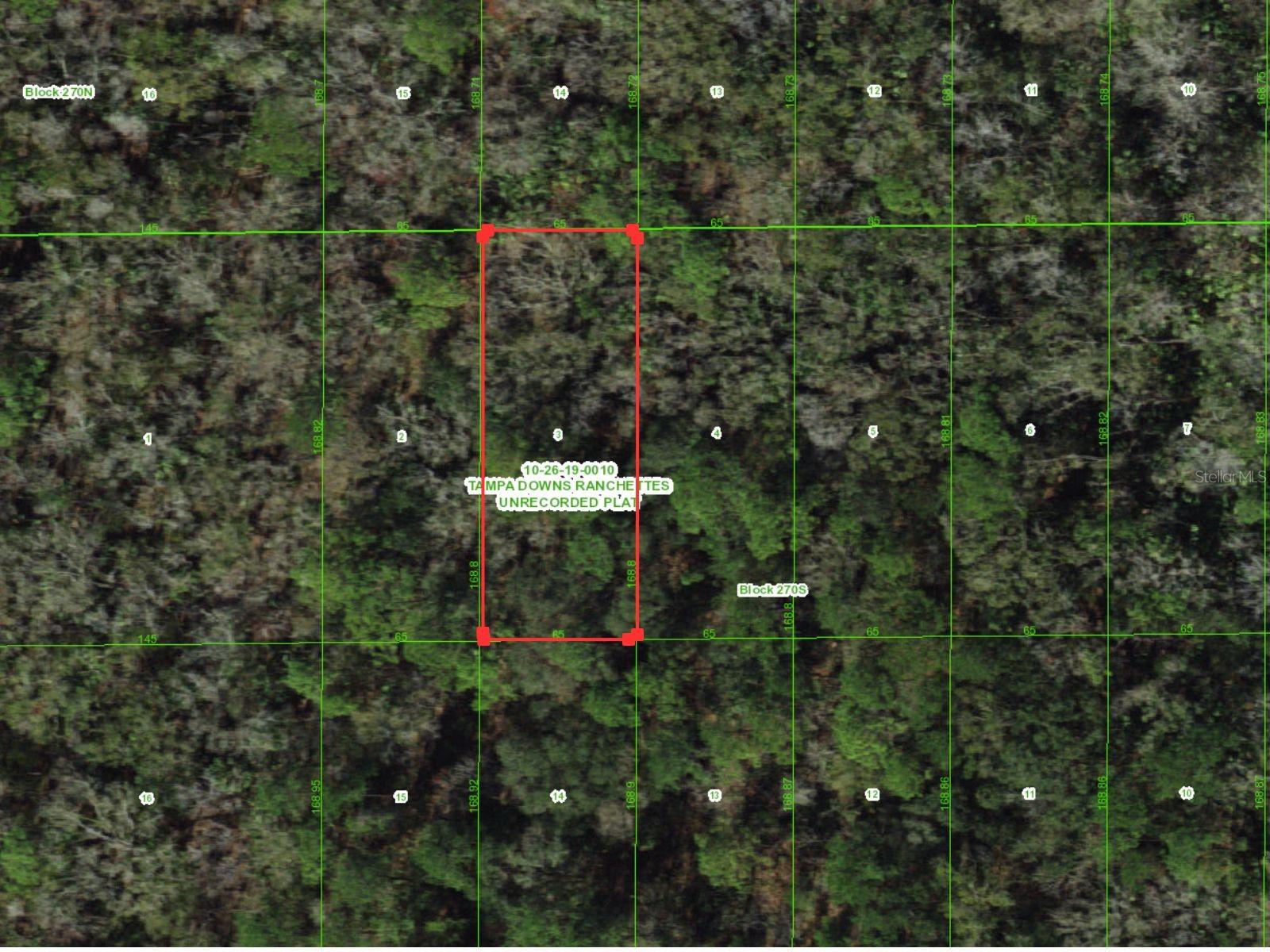Details for  Unassigned  , WESLEY CHAPEL, FL 33544