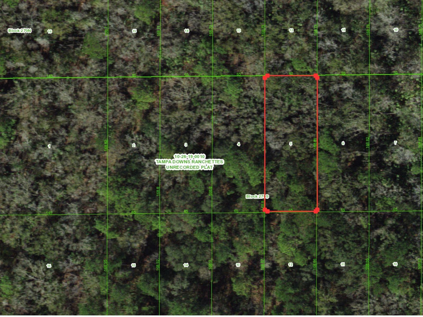 Details for  Unassigned  , WESLEY CHAPEL, FL 33544