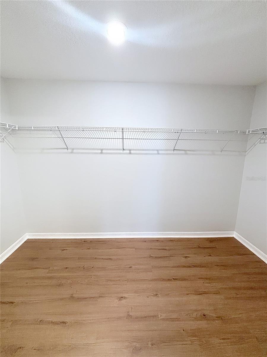 Image 20 of 34 For 10241 Strawberry Tetra Drive