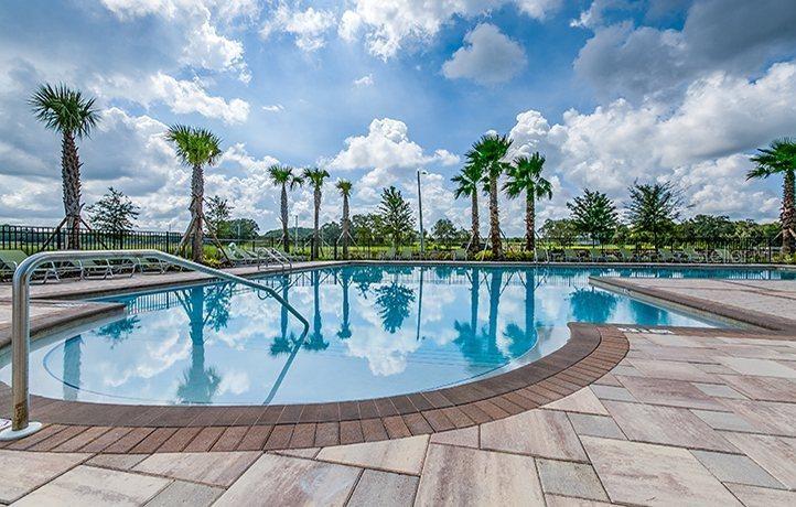 Image 4 of 34 For 10241 Strawberry Tetra Drive