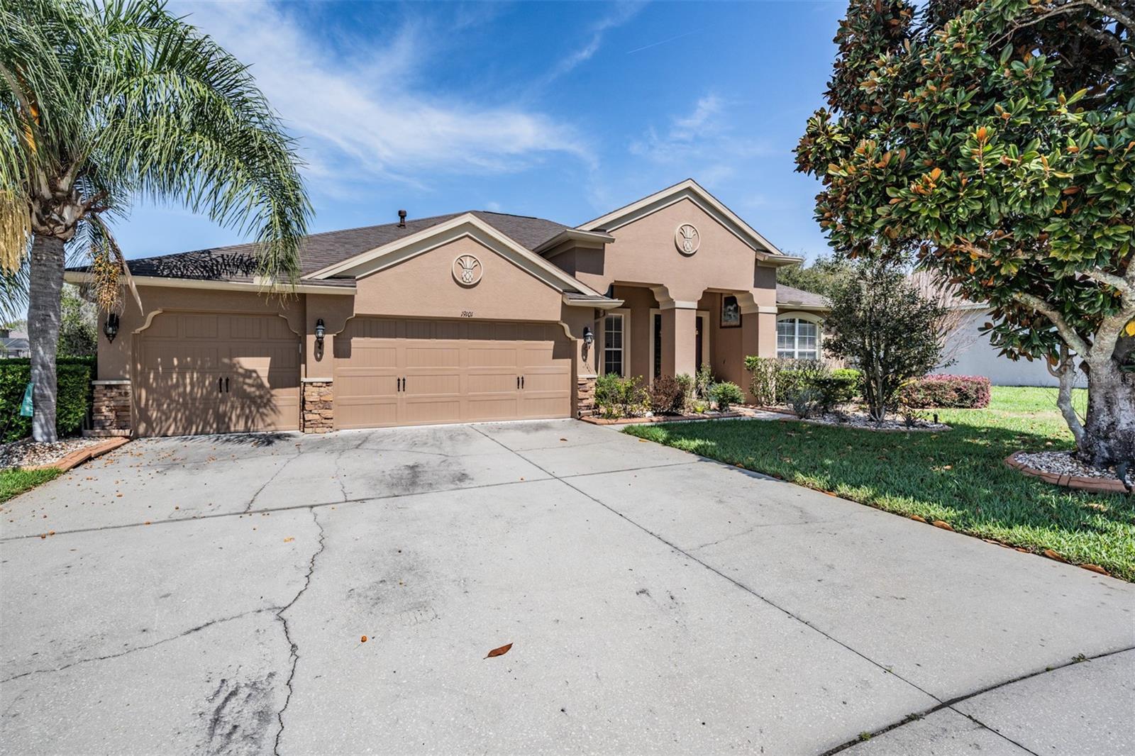 Details for 19101 Lone Creek Court, LAND O LAKES, FL 34638