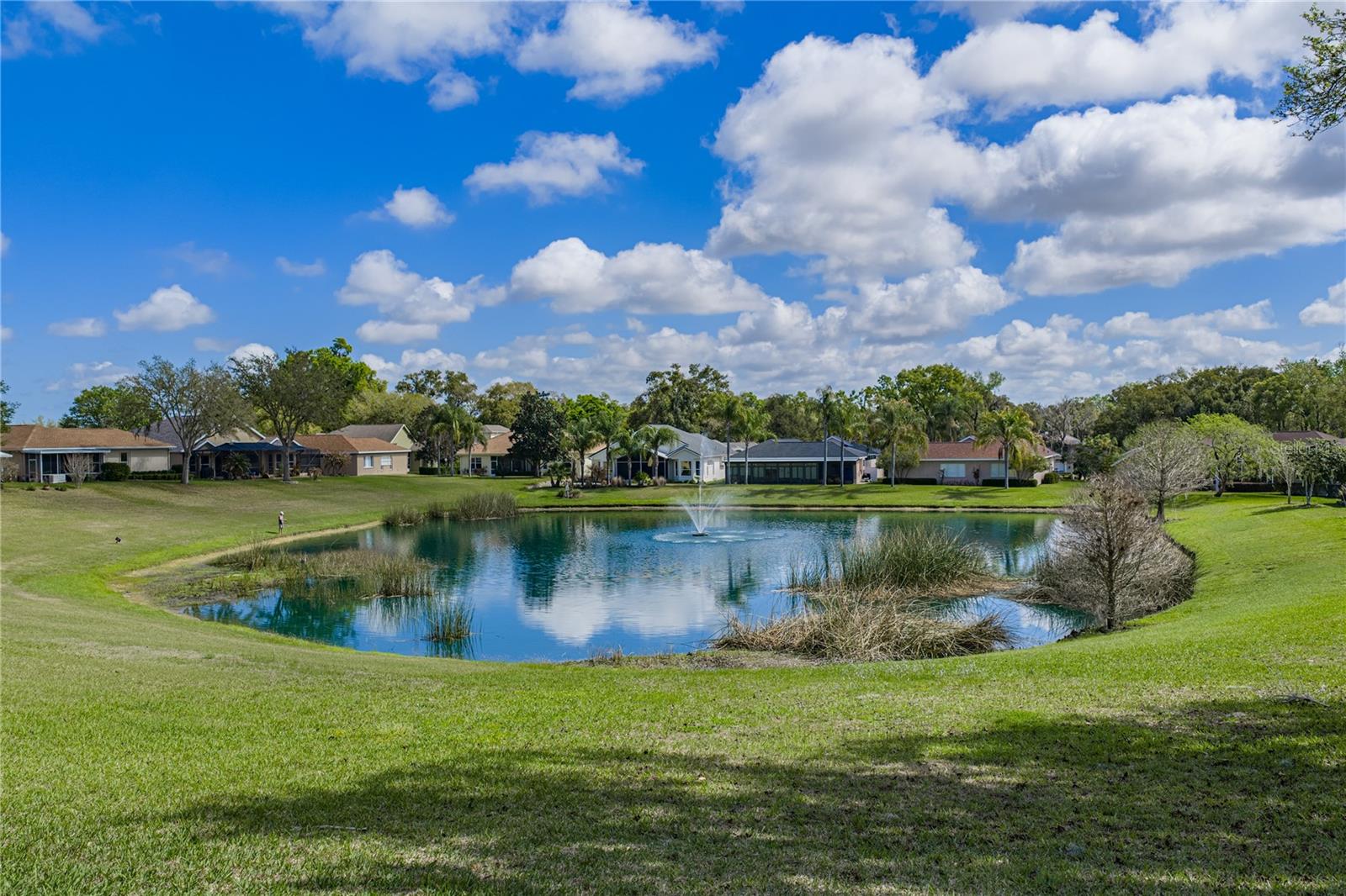 Image 68 of 85 For 12231 Woodlands Circle