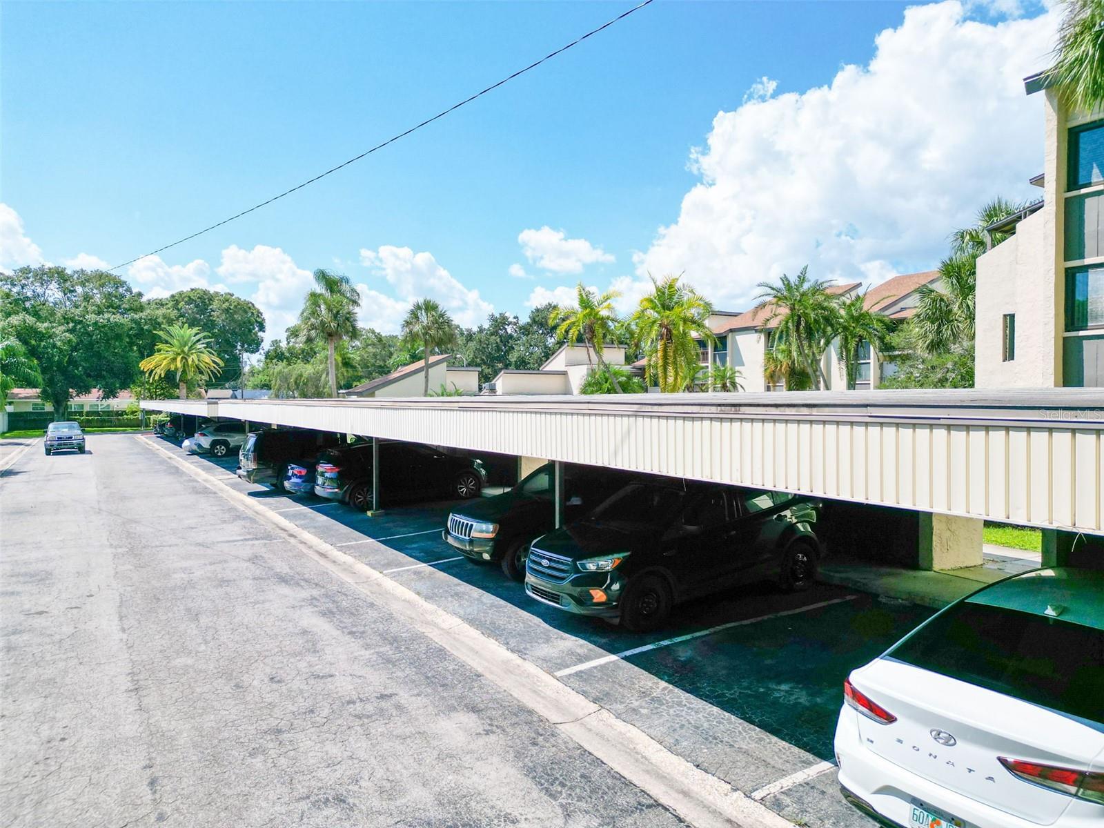 Image 18 of 22 For 2211 Belleair Road D3