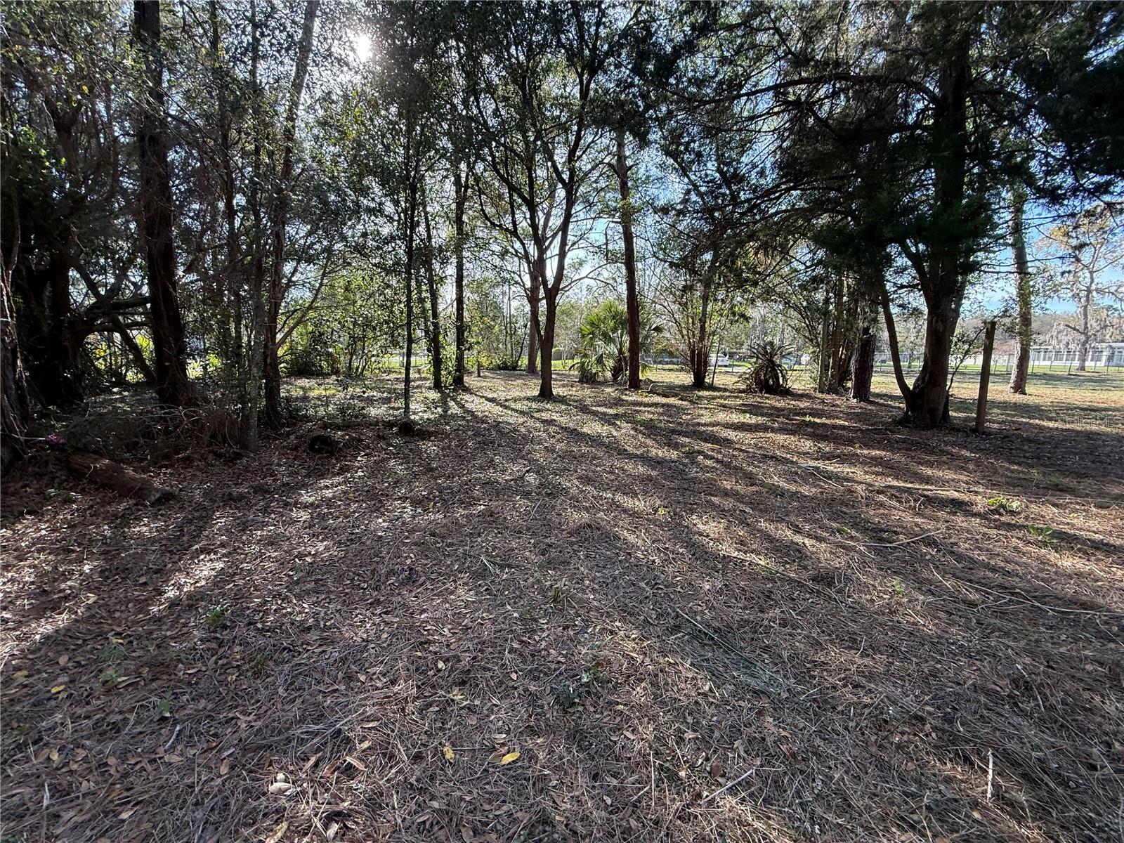 Image 7 of 14 For 6479 Holiday Street