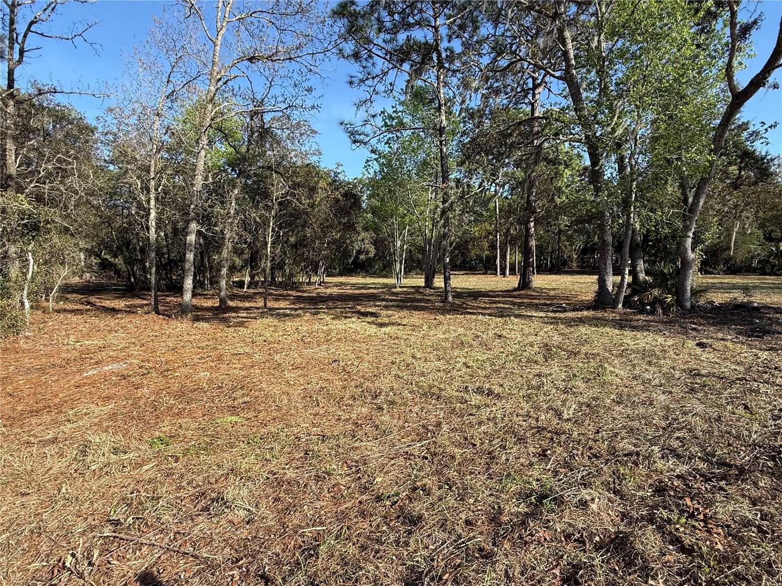 Image 9 of 14 For 6479 Holiday Street