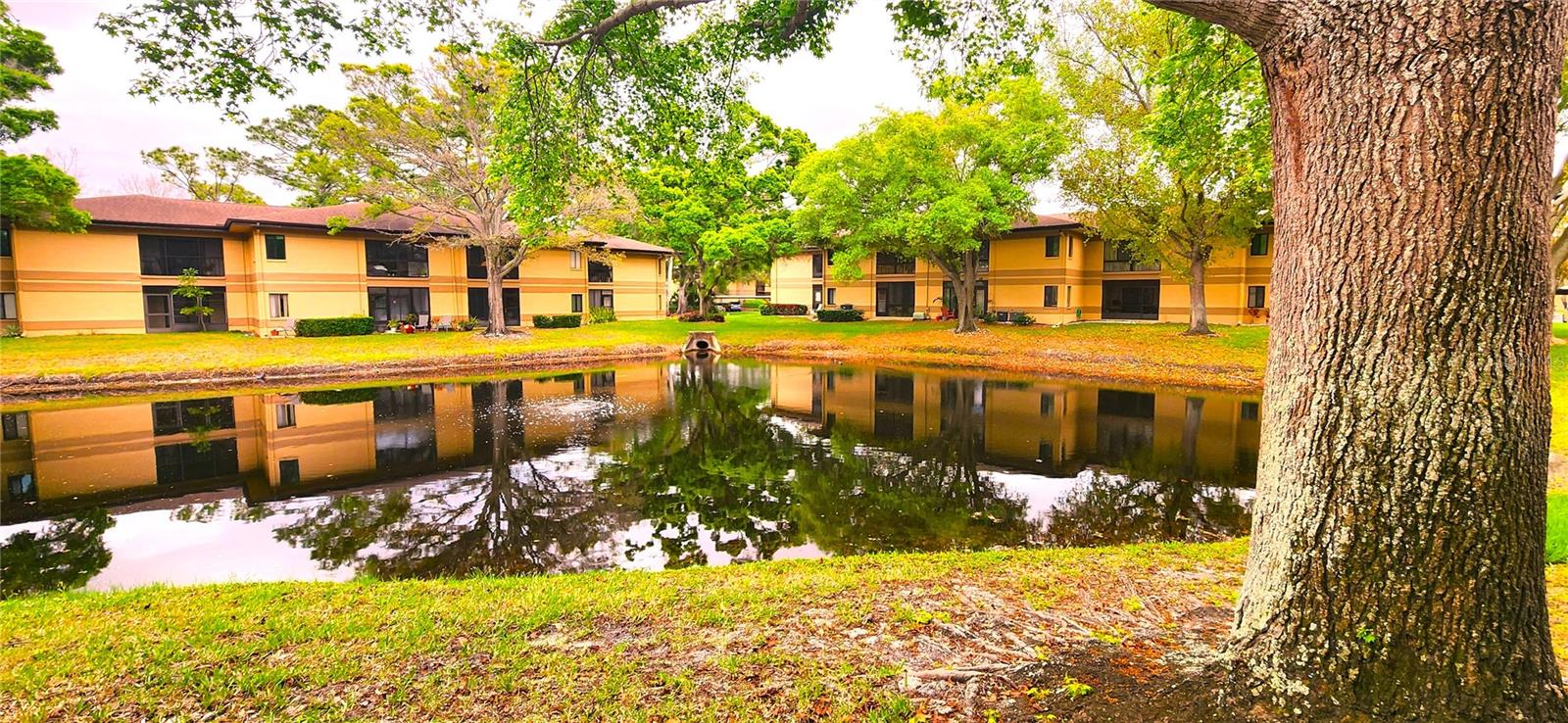 Image 13 of 15 For 2661 Sabal Springs Circle 204