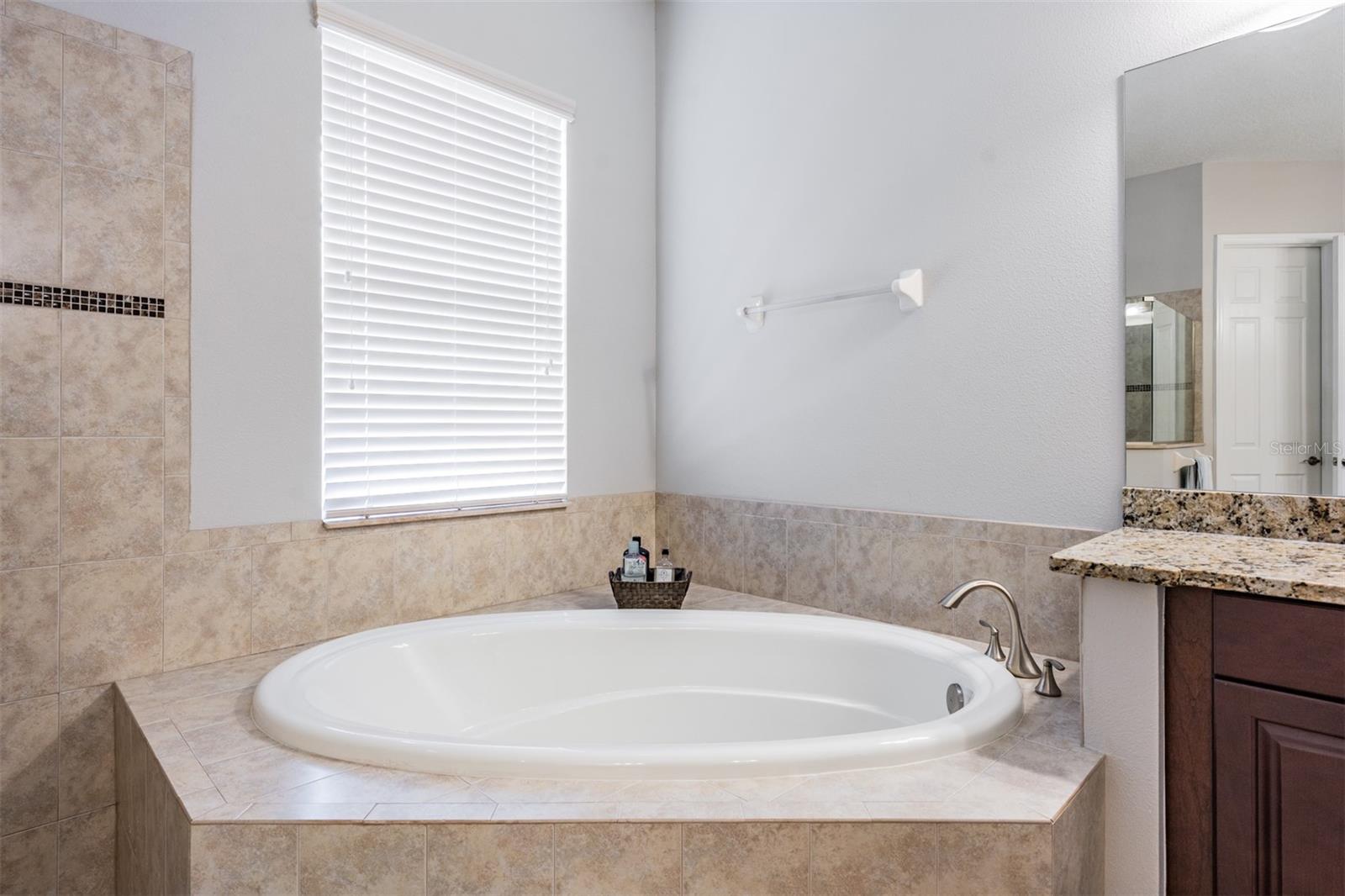 Image 26 of 69 For 19420 Autumn Chase Court