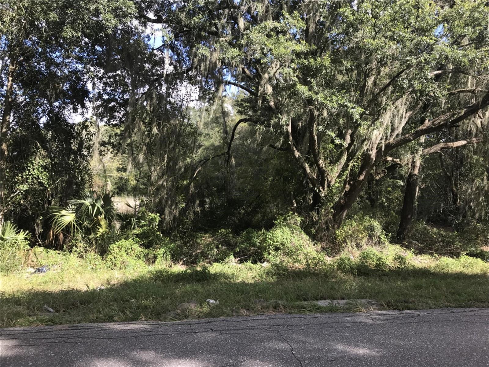 Details for County Road 213, WILDWOOD, FL 34785