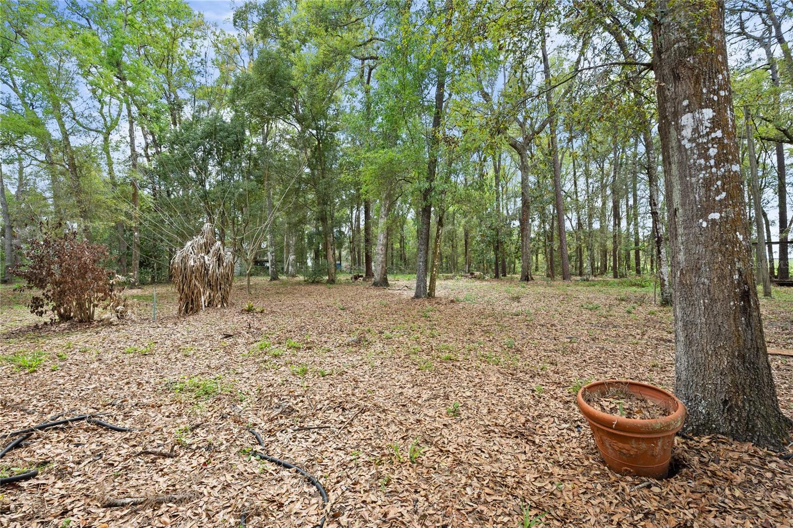 Image 48 of 53 For 17055 Sweetwater Road