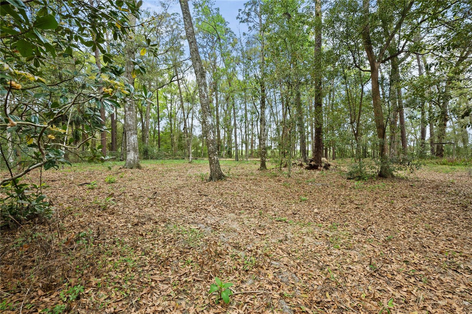 Image 5 of 53 For 17055 Sweetwater Road