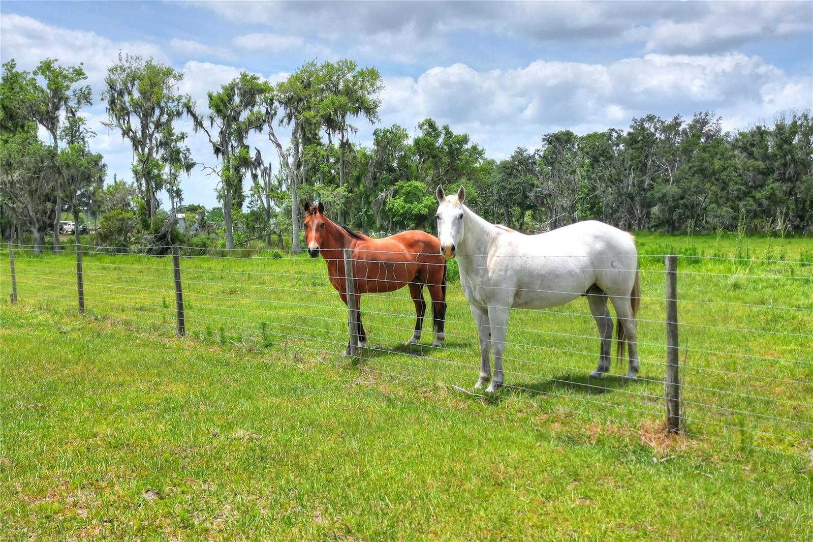 Details for 0 Cr 39  , LITHIA, FL 33547