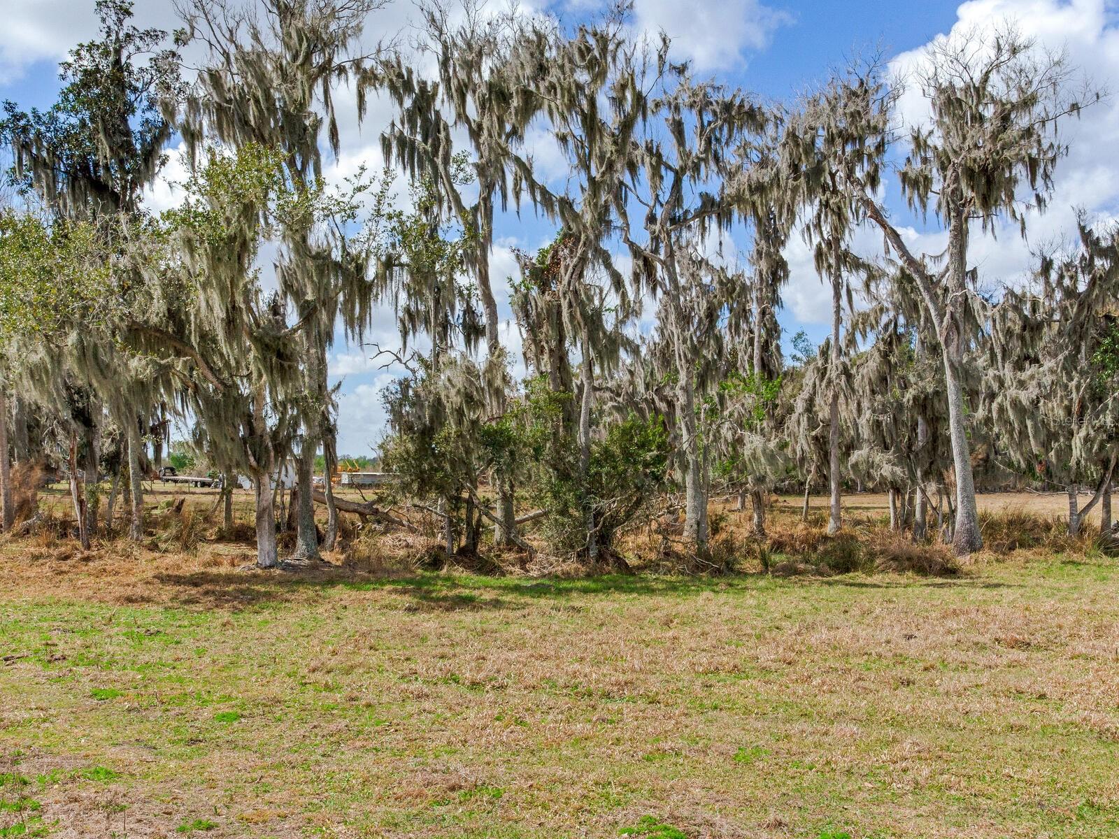 Image 3 of 7 For 0 Cr 39  