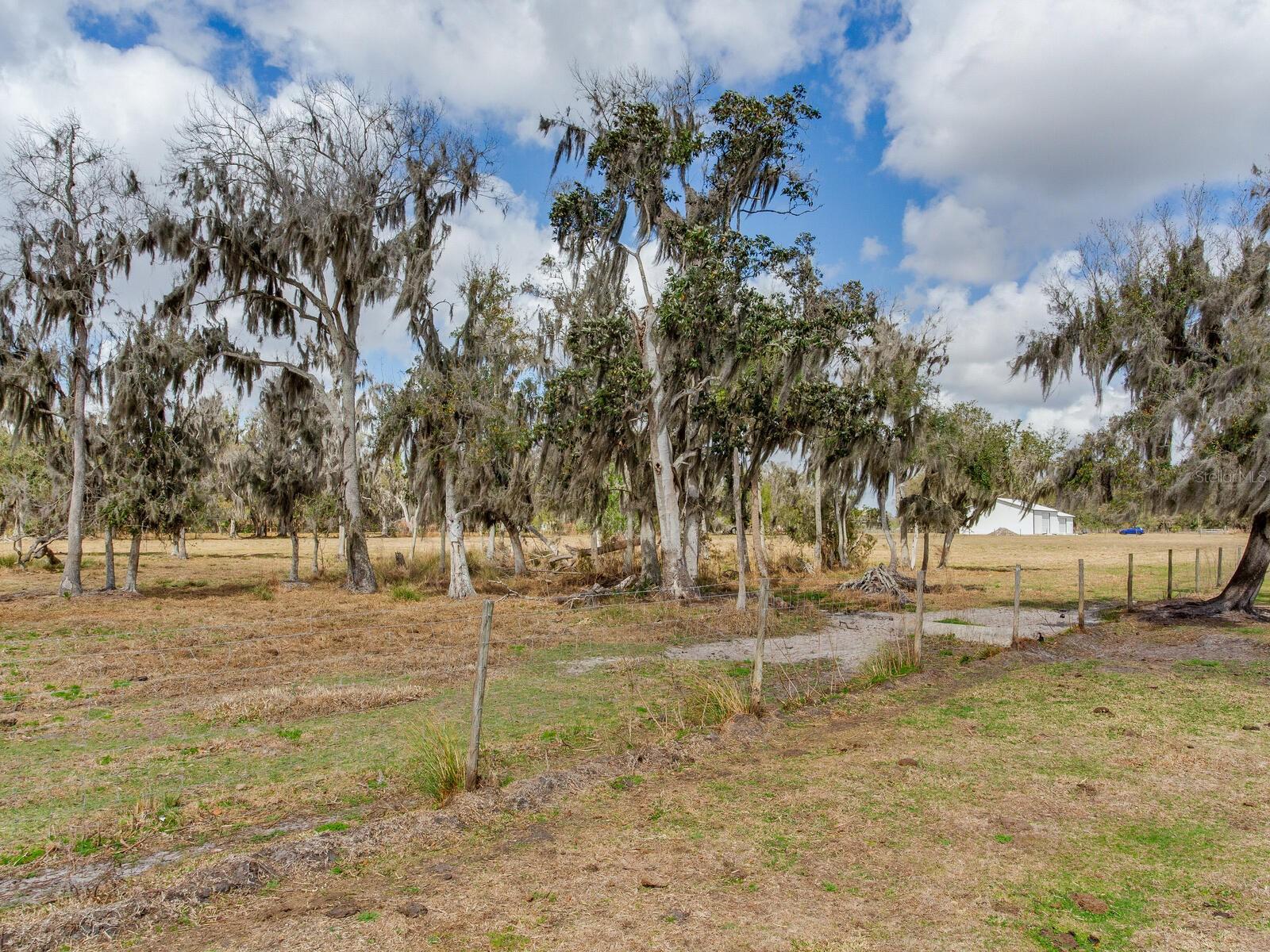 Image 4 of 7 For 0 Cr 39  