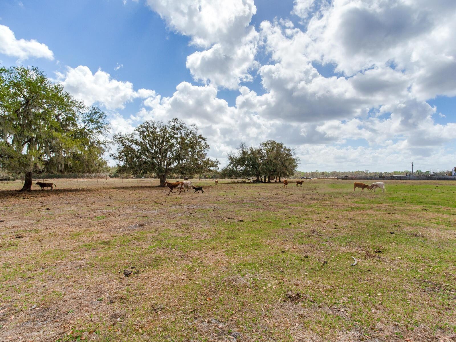 Image 12 of 13 For 0 Cr 39  