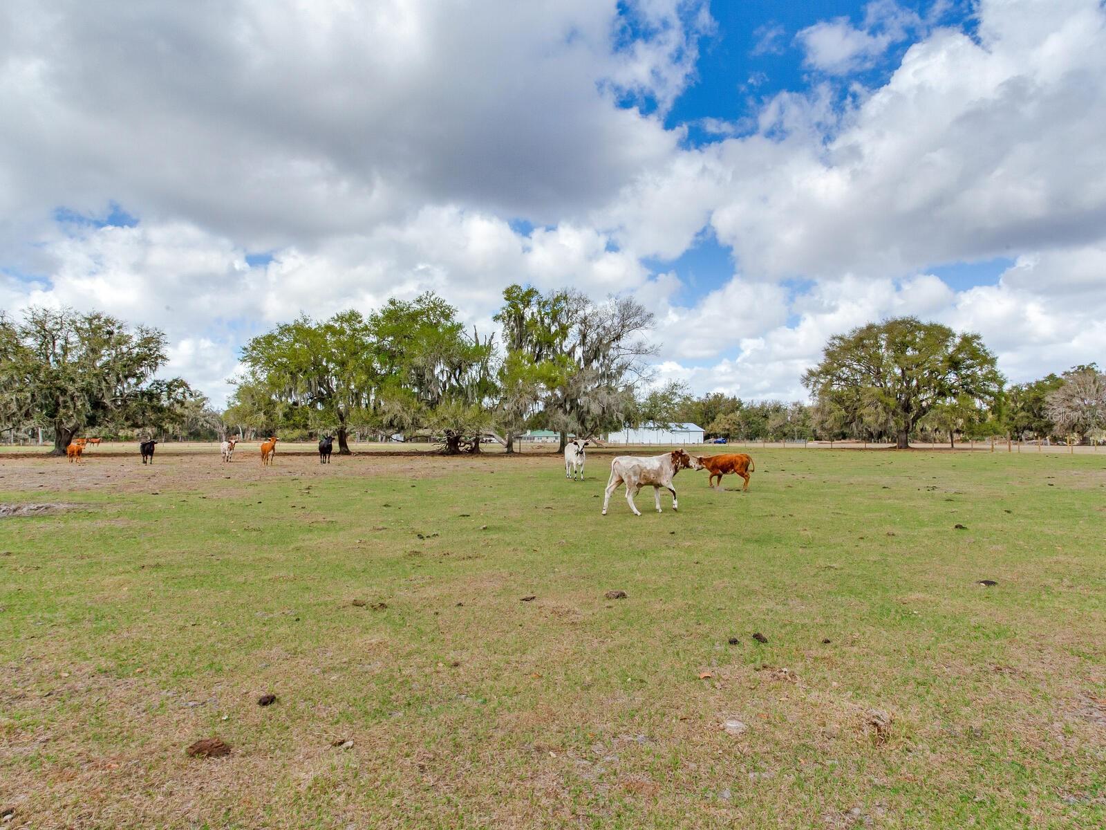 Image 6 of 13 For 0 Cr 39  