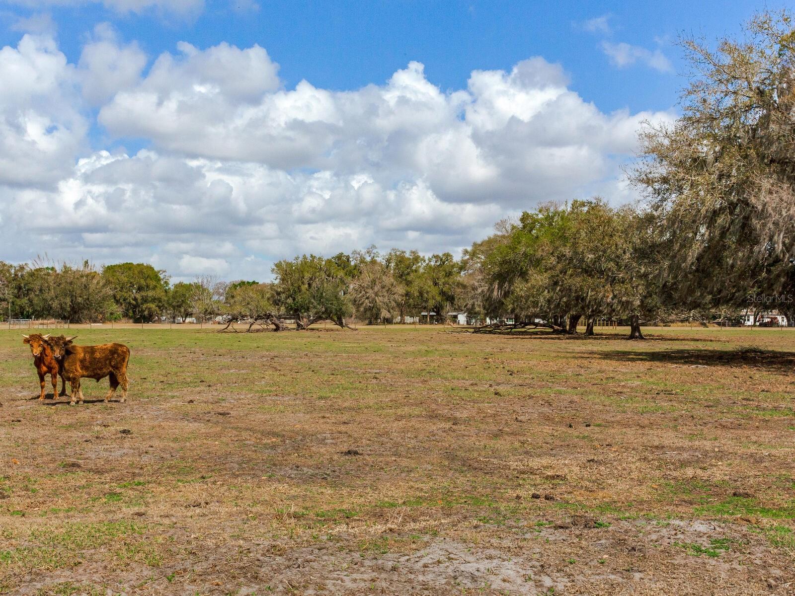 Image 11 of 13 For 0 Cr 39  