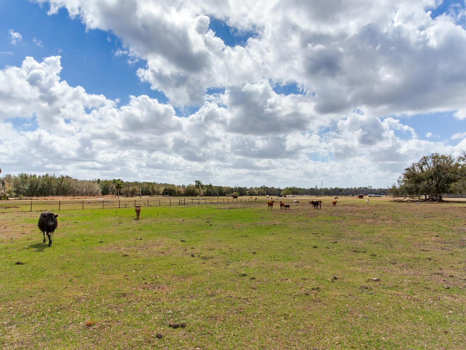 Image 6 of 13 For 0 Cr 39  