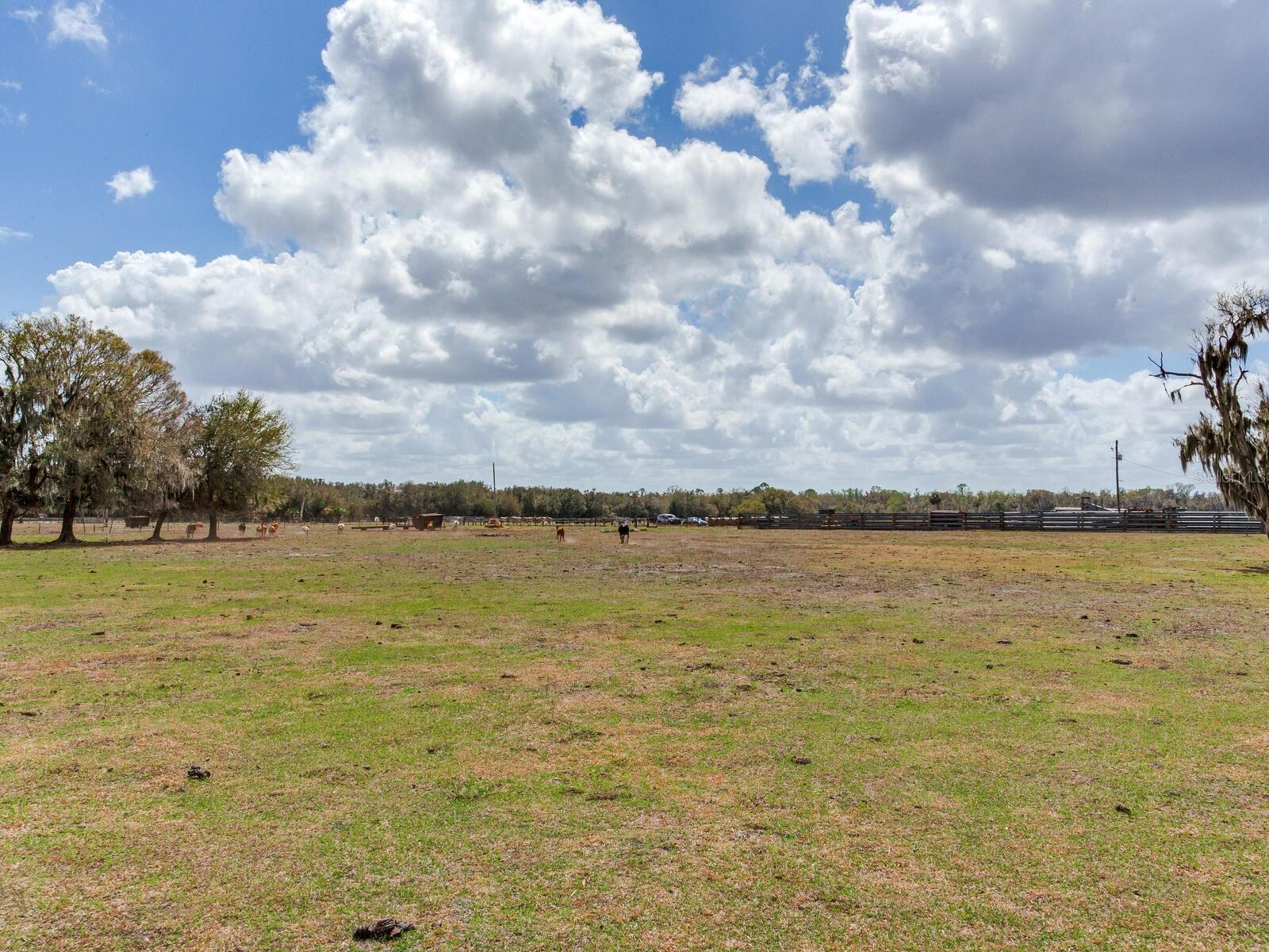 Image 8 of 13 For 0 Cr 39  