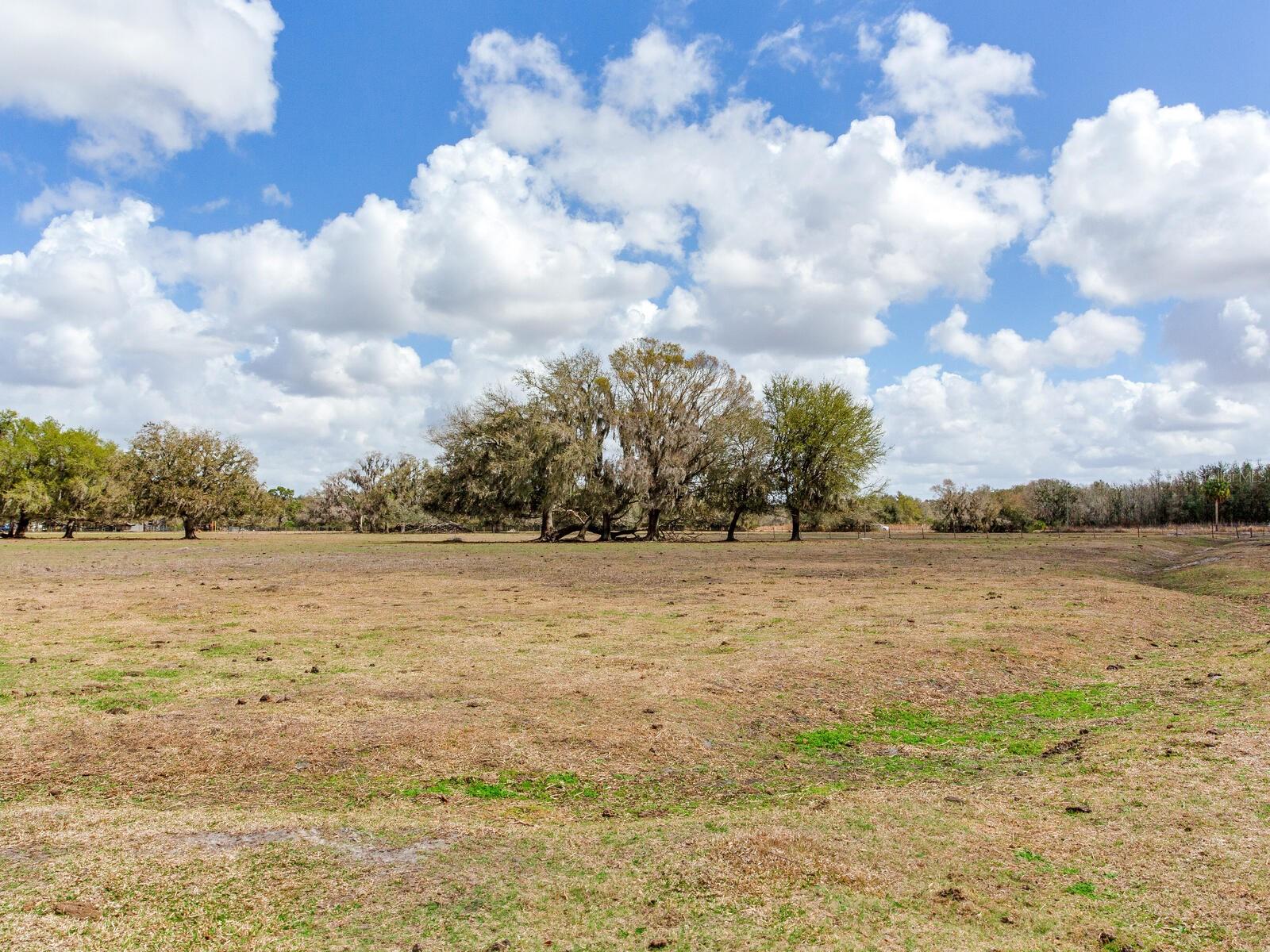 Image 9 of 13 For 0 Cr 39  