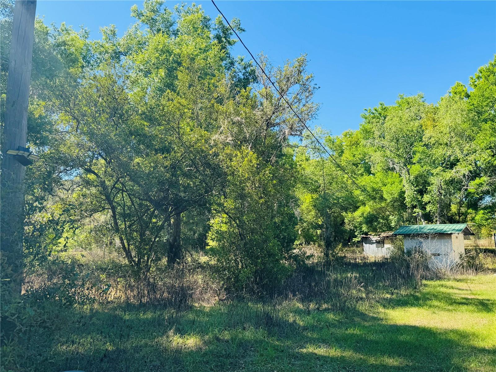 Image 10 of 16 For 11340 Bessie Dix Road