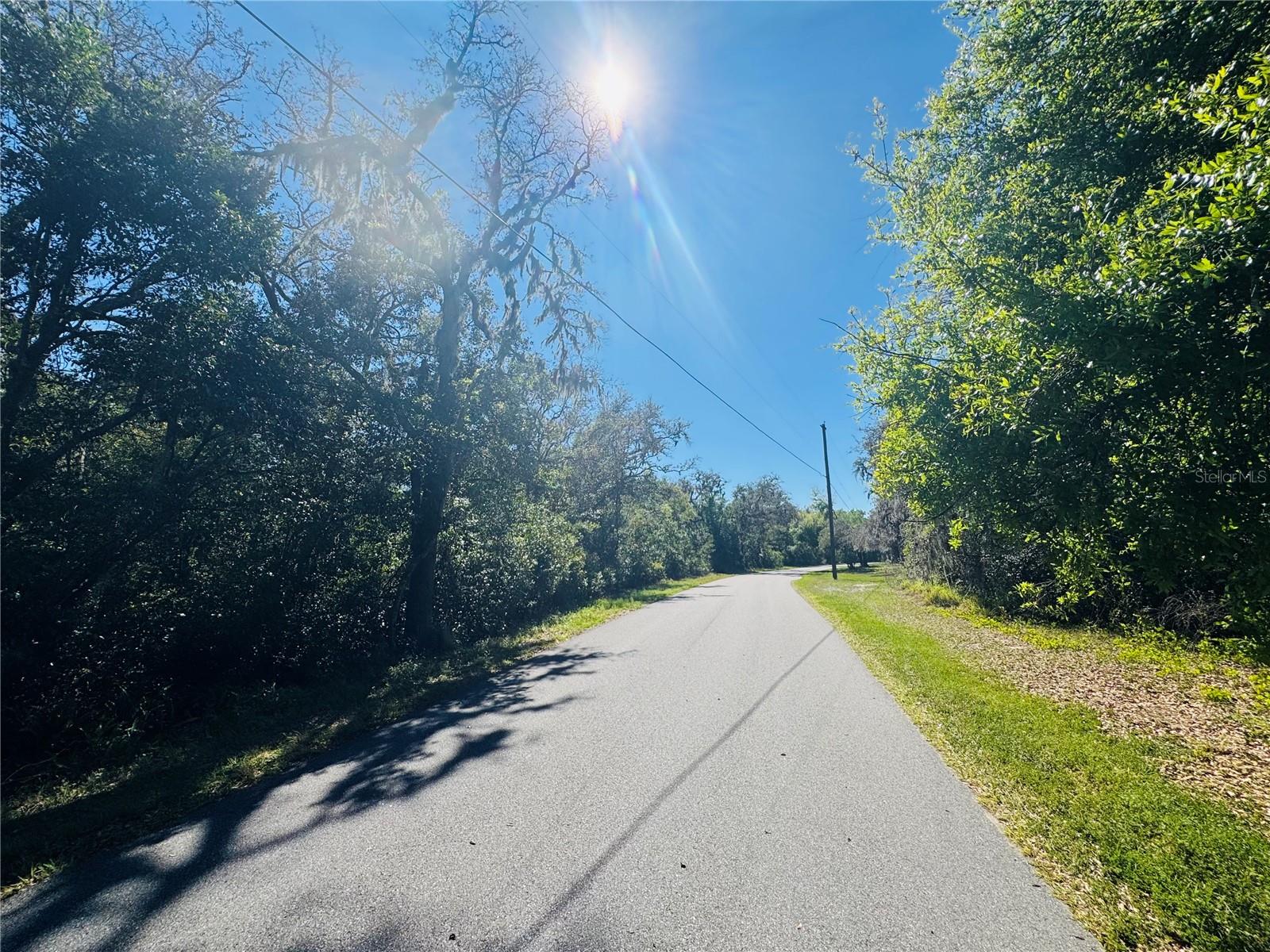 Image 11 of 16 For 11340 Bessie Dix Road