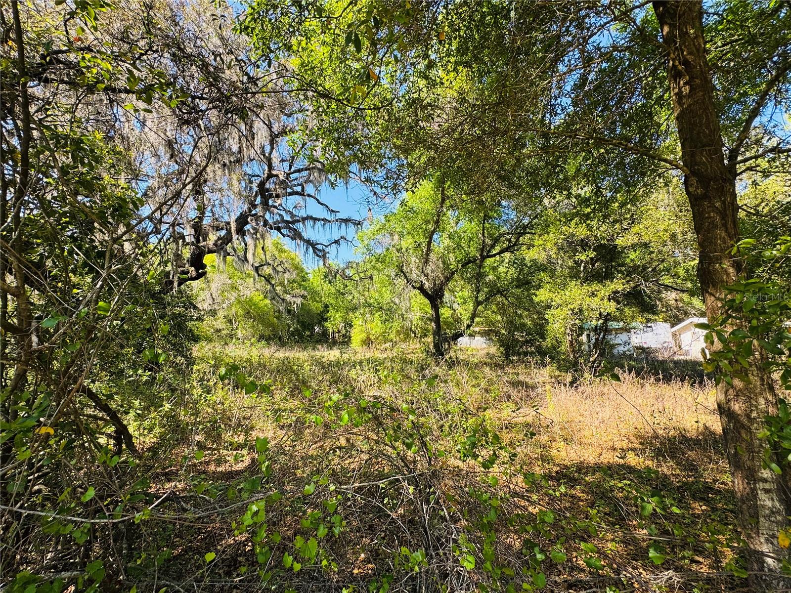 Image 12 of 16 For 11340 Bessie Dix Road