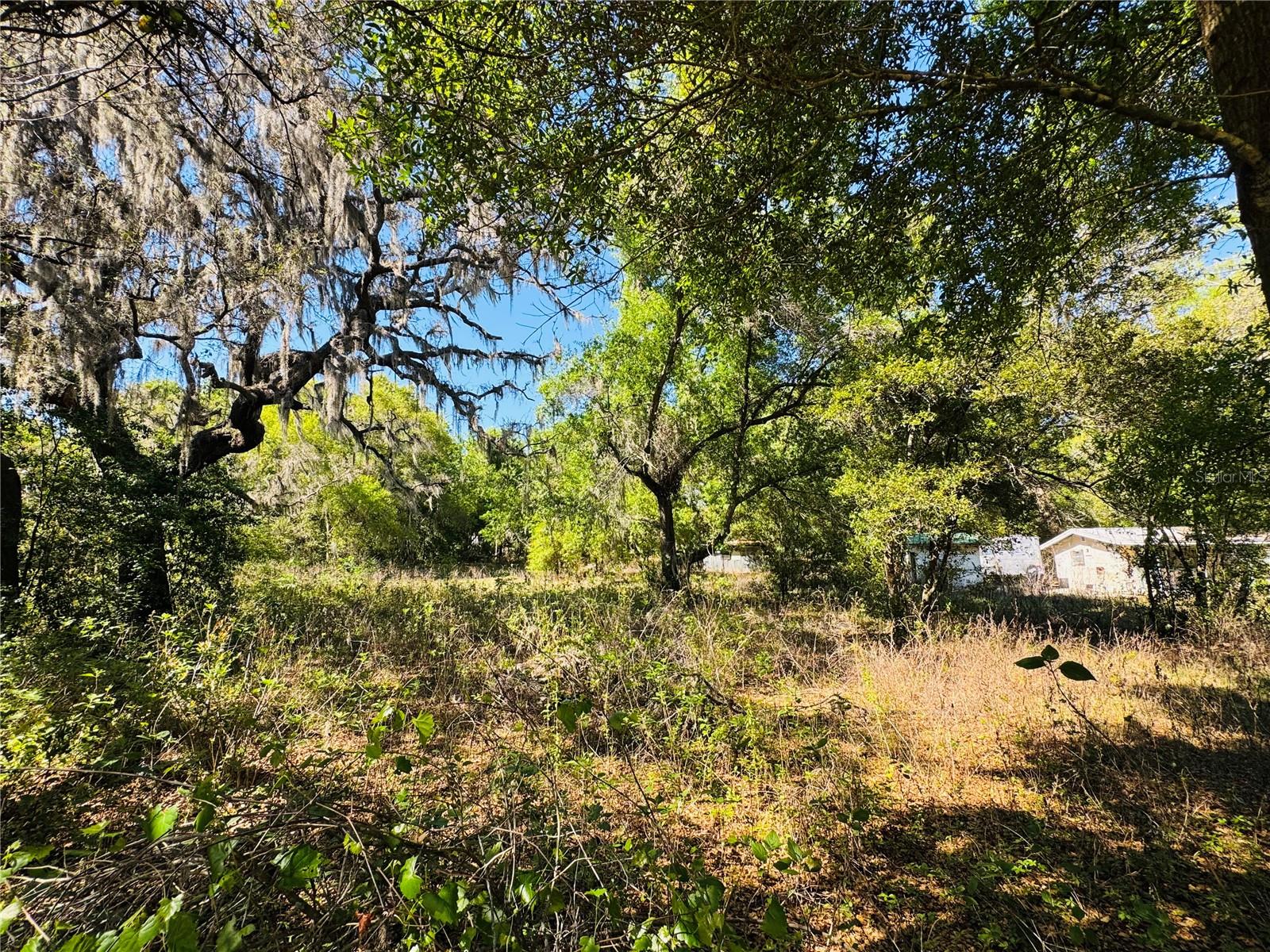 Image 13 of 16 For 11340 Bessie Dix Road