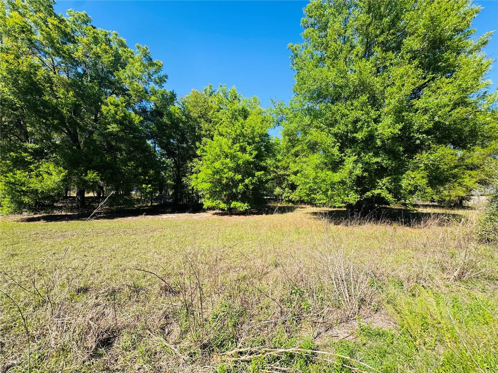 Image 5 of 16 For 11340 Bessie Dix Road